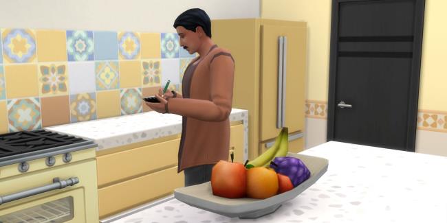 sims 4 for rent inspecting a tenants kitchen